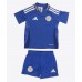 Camisa de Futebol Leicester City Jamie Vardy #9 Equipamento Principal Infantil 2024-25 Manga Curta (+ Calças curtas)